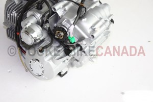 engine 813 250cc w. reverse5